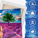 FIXSMITH Stretched White Blank Canvas - 11x14 Inch, 8 Pack, Primed,100% Cotton,5/8 Inch Profile of Super Value Pack for Acrylics,Oils & Other Painting Media | 11"x14" — 2