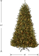 National Tree Company 6ft Pre-Lit Dunhill Fir Artificial Christmas Tree — 6