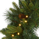 Nearly Natural 24 in Mixed Pine Artificial Christmas Wreath with LEDs — 4