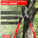 TABOR TOOLS GG12A Anvil Lopper with Compound Action, 30 Inch Tree Trimmer & Branch Cutter, Heavy Duty Tree Pruner with 2 Inch Cut Capacity, Chops Thick Dry Branches with Ease | GG12A 30 Inch Anvil Lopper with lever — 2