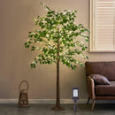 Hairui Artificial Ficus Silk Tree Lights 6FT 264 LED Fairy Lights, Faux Plant Tree with Lights for Home Room Spring Summer Christmas Decoration Indoor — 1