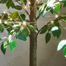 Hairui Artificial Ficus Silk Tree Lights 6FT 264 LED Fairy Lights, Faux Plant Tree with Lights for Home Room Spring Summer Christmas Decoration Indoor — 2