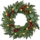 Christmas Wreath with Lights 24 Inch Real Touch Pine Wreath with Red Berries/Pine Cone Prelit Christmas Wreaths for Front Door Outdoor Christmas Decorations Winter Wreath for Windows Indoor Holiday — 1