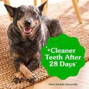Brand Greenies Regular Dental Dog Treats, Original Chicken Flavor, 12 Count