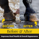 Fiebing's Hoof Oil for Horses with Mineral Oil (32 oz) - Hoof Dressing with Applicator Brush to Condition Dry, Split Hooves & Corns - Prevents Cracks, Splits & Contracted Feet with Semi Gloss Finish — 3