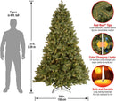 National Tree Company 7.5ft Pre-Lit Downswept Douglas Fir Christmas Tree — 6