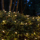 Wintergreen Lighting Set of 100 Warm White LED Christmas Net Lights, Outdoor Christmas Decorations, Green Wire (4 x 6 ft, M5 Lights, LED Warm White) — 5
