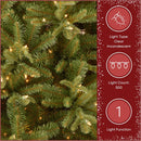 National Tree Company 6.5ft Pre-Lit Tiffany Fir Slim Christmas Tree — 6