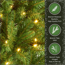 National Tree Company 7.5ft Pre-Lit Winchester Pine Slim Christmas Tree — 7