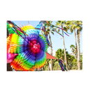 Celly Party Mexican Star Pinata Festive Rainbow Pinatas Party Decorations 32 Inch Large Authentica Birthday Pinata for Kids Birthday