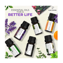 Essential Oils by PURE AROMA 100% Pure Oils kit- Top 6 Aromatherapy Oils Gift Set-6 Pack, 10ML