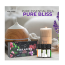 Essential Oils by PURE AROMA 100% Pure Oils kit- Top 6 Aromatherapy Oils Gift Set-6 Pack, 10ML