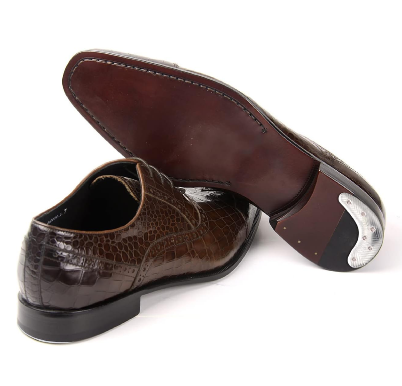 Heel Plates 4 PCS Metal Shoes Heel Taps Tips Repair Pad Replacement with Nails