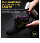 Gold Standard Shoe Deodorizer Spray, 6 oz – Shoe Spray and Smell Remover, Long-Lasting Shoe Odor Eliminator,