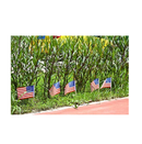 JOYIN 24 Pcs Small American Flags on Stick 4x6 Inch for 4th of July Celebration Memorial Day decorations