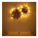 Lighted Garland with Birch Twigs, Hypestar 6FT Lighted Garlands with 48 LEDs for Home Decorations and Living Room Wall Decor (Remote Control Willow Garland)