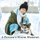 Liitrsh 9 Pcs Women Winter Knitted Beanie Hat with Pompom Bulk Winter Hats 