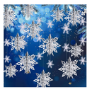 OuMuaMua Winter Christmas Hanging Snowflake Decorations, 12PCS 3D Large Silver Snowflakes & 12PCS White Paper Snowflakes Hanging Garland for Christmas Winter Wonderland Holiday New Year Party Home