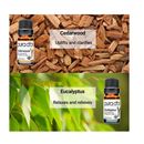 PURA D'OR Organic Essential Oils Set of 10 10ml Perfect10 Wood Box Gift Set- 100% Pure Therapeutic Grade Aromatherapy for Home Diffusers