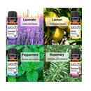 PURA D'OR Organic Essential Oils Set of 10 10ml Perfect10 Wood Box Gift Set- 100% Pure Therapeutic Grade Aromatherapy for Home Diffusers