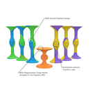 Popdarts PRO Pack Game Set Wigglenobber Target Marker Indoor Outdoor Suction Cup Throwing Game  Competition with a POP