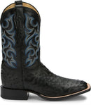 Justin Truman Full Quill - Black 8514