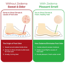 Zederna Cedar Wood Shoe Insoles 1 Pair,