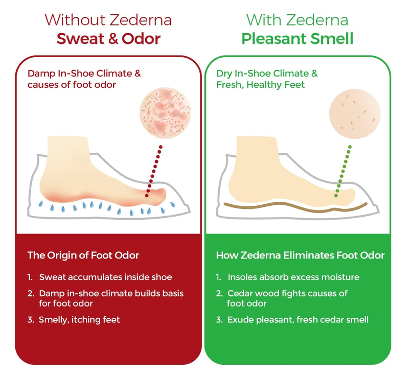 Zederna Cedar Wood Shoe Insoles Men & Women, 3 Pairs,