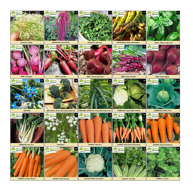 125 Variety Non GMO Non Hybrid Heirloom Seed Bank  | Emergency Food Supply