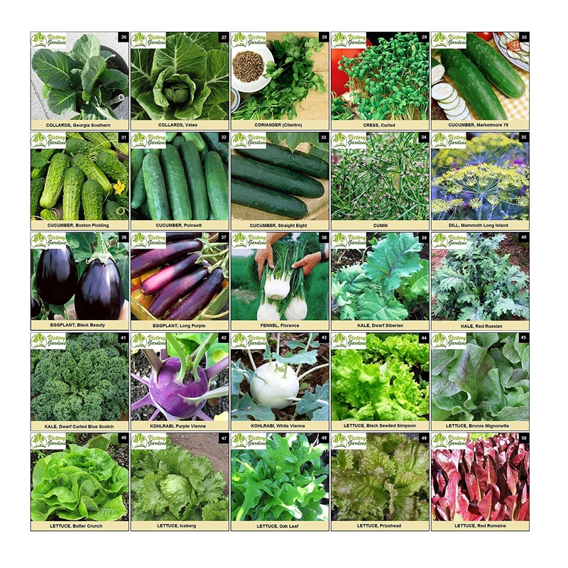 125 Variety Non GMO Non Hybrid Heirloom Seed Bank  | Emergency Food Supply