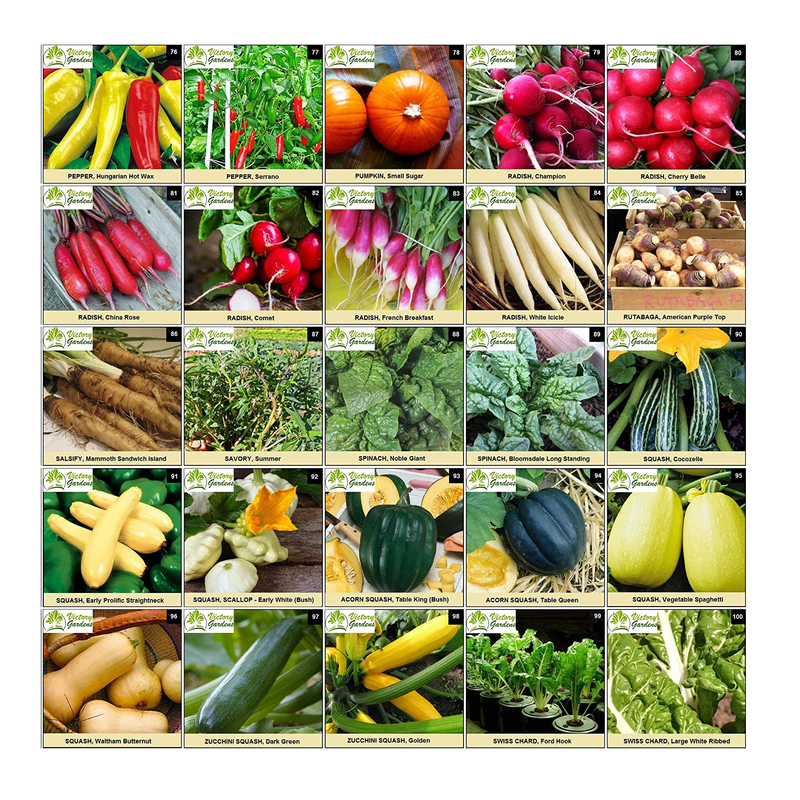 125 Variety Non GMO Non Hybrid Heirloom Seed Bank  | Emergency Food Supply