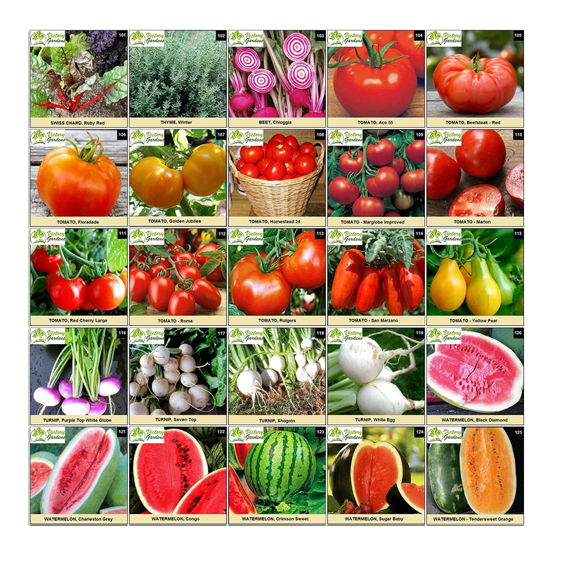 125 Variety Non GMO Non Hybrid Heirloom Seed Bank  | Emergency Food Supply