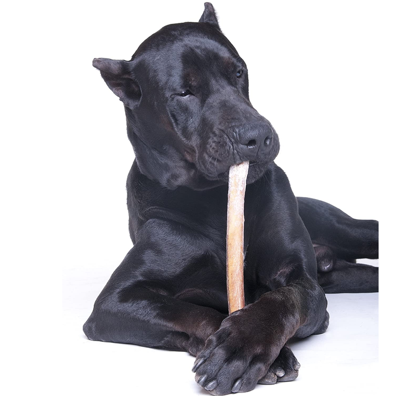 12 Inch Bully Sticks for Large Dogs Leather Free Chews and Dental Treats for Dogs