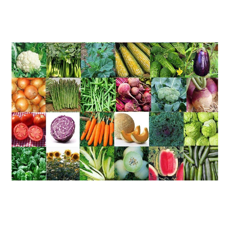 13400 Seed 33 Fruit/Vegetable Variety Pack Non-GMO Heirloom Home Bank Lot 