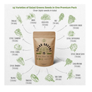 15 Lettuce & Salad Greens Seeds Variety Pack 7500+ Non-GMO Heirloom Lettuce Seeds for Planting Indoors & Outdoors Garden