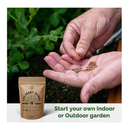 18 Culinary Herbs Seeds Variety Pack | Heirloom, NON-GMO, Herbs Seeds for Planting Outdoor and Indoor