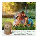 18 Culinary Herbs Seeds Variety Pack | Heirloom, NON-GMO, Herbs Seeds for Planting Outdoor and Indoor