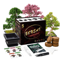 Bonsai Tree Kit | 5 Bonsai Tree Seeds with Complete Plant Growing Tools