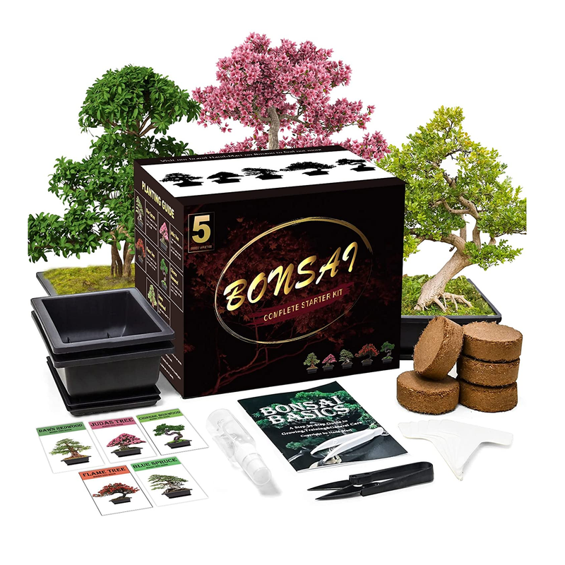 Bonsai Tree Kit, bonsai Starter Kit,Bonsai Tree Starter Kit,mini