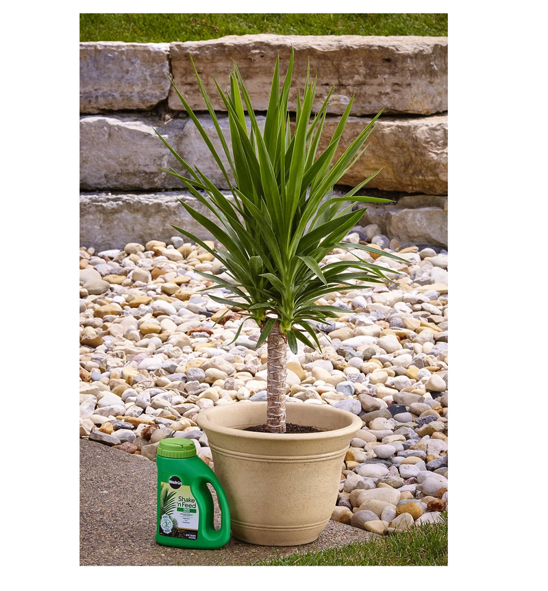miracle-gro shake 'n feed palm plant food Miracle-Gro Shake 'N Feed Palm Plant Food