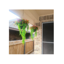 CLONG Artificial Hanging Ferns | Vine Plants | Fake Ivy | Boston Fern | For Outdoor Use UV Resistant 2 Pieces Color Green