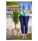 Miracle-Gro Shake 'N Feed Palm Plant Food