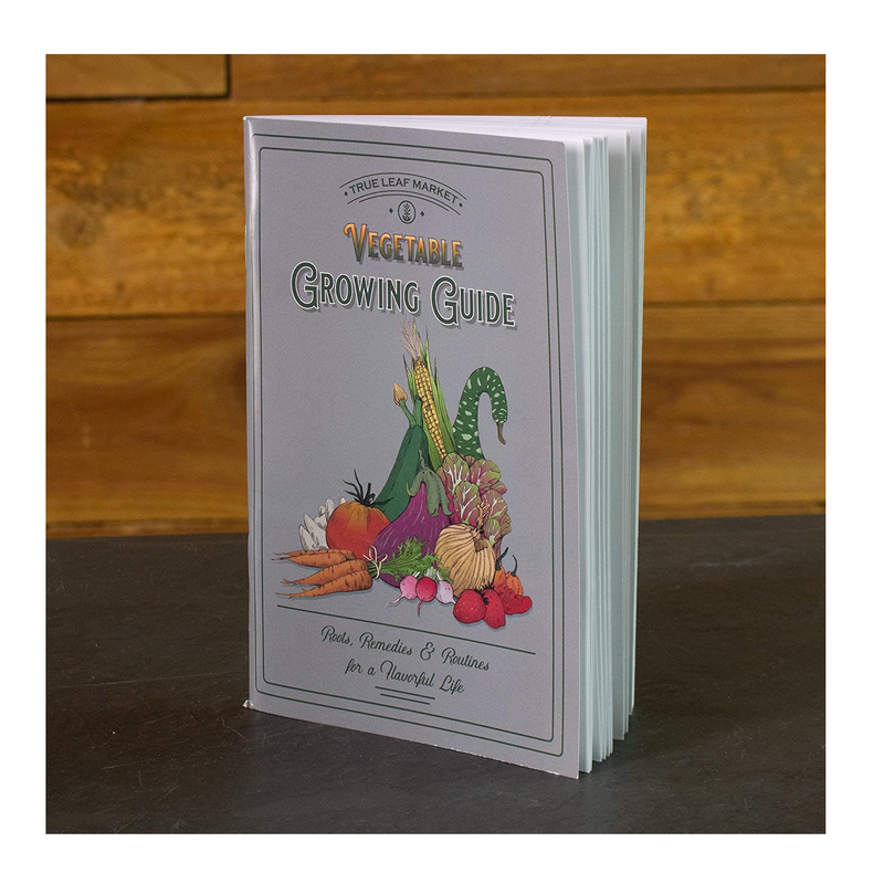 22,000 Non GMO Heirloom Vegetable Seeds | Survival Garden | Emergency Seed Vault
