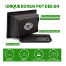 Bonsai Tree Kit | 5 Bonsai Tree Seeds with Complete Plant Growing Tools