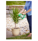 Miracle-Gro Shake 'N Feed Palm Plant Food