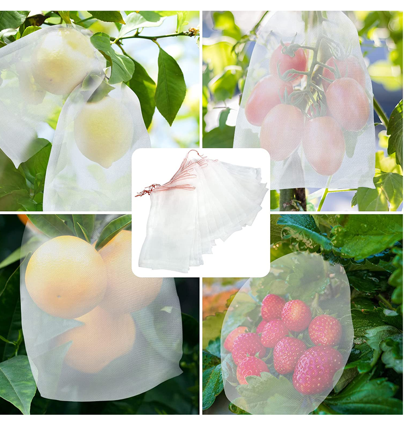 50 Fruit Protection Bags | 6x10 Inches  Mesh Bags