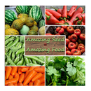 22,000 Non GMO Heirloom Vegetable Seeds | Survival Garden | Emergency Seed Vault