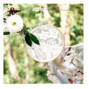 Fallen | 6 Piece Embroidery Hoop Set | Bamboo Circle Cross Stitch Hoop Ring