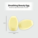 2pcs Makeup Sponges Set With Storage Box Makeup Sponges For Blending Liquid Foundations | Powders And Cream Flawless | Professional Streak