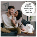 Craft It Up Hand Casting Kit DIY Plaster Casting Sculpture Kit | Hand Craft For Adults